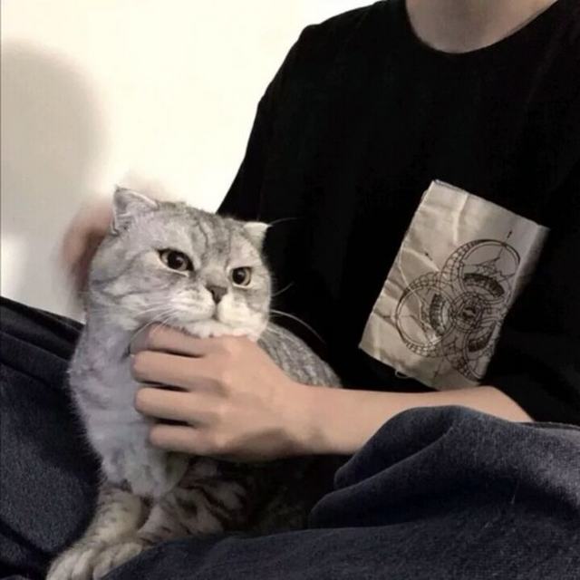 ～深夜猫子🐟【伤感】《Sorrow》我不知道路还有多长 我只看到你脸上的倔强 如果还能看到明天 路再远我也愿意坚强.