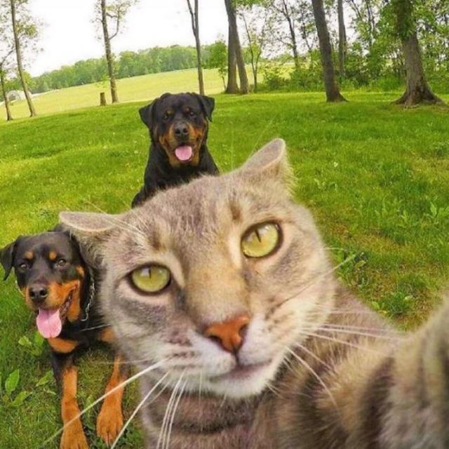 岸上人「Cant Get You Out Of My Head￰」我能反反复复听一首歌几百次 就是不能反反复复爱一个人几十次.