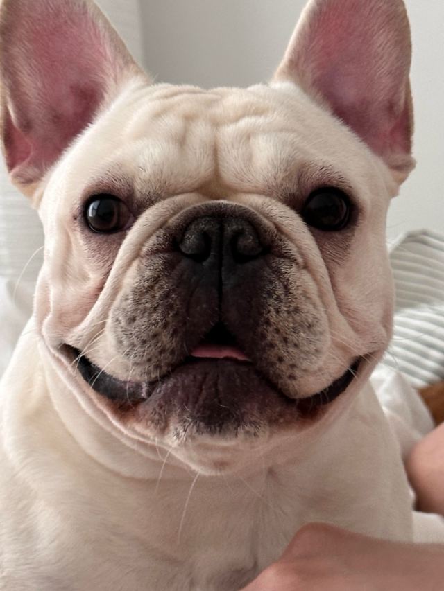 您有新的美团外卖订单 请及时处理