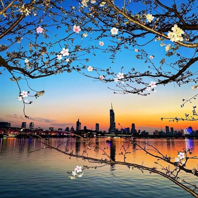 〈热门DJ旋律〉我不会原谅任何一个从我生命中索取完又装无辜的人。