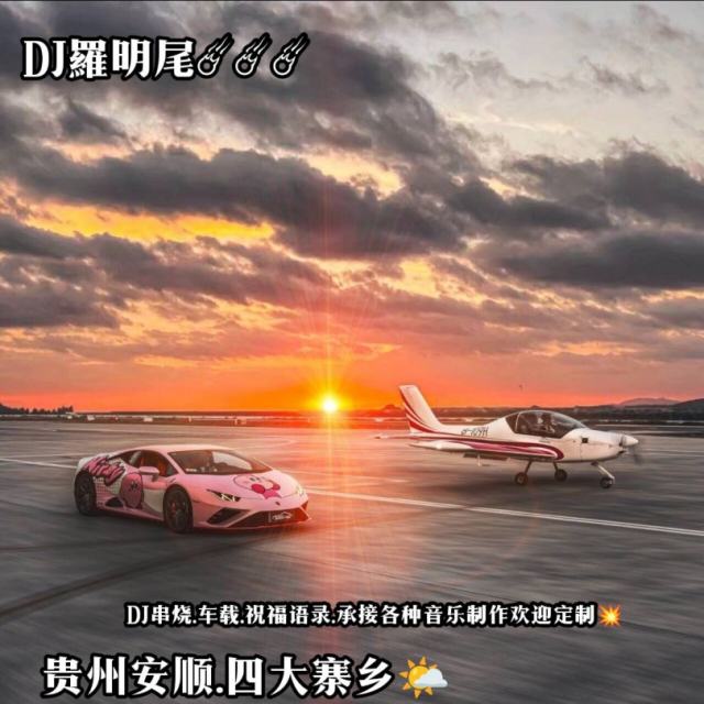 苏婷🎀.——【抖音热播】轩姨 - 缺氧 (DJ R7版)