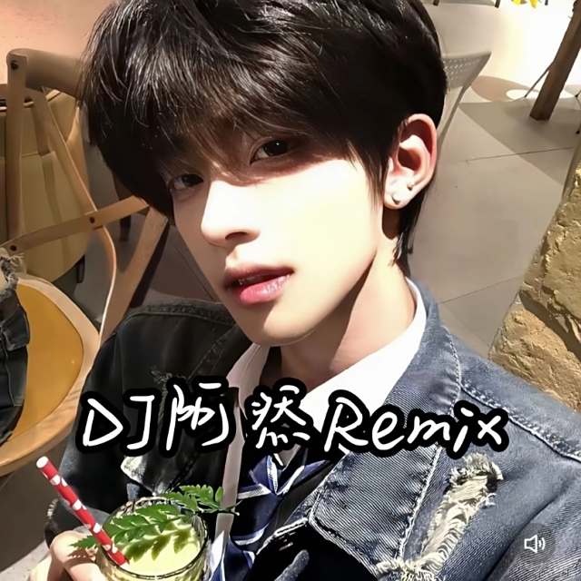 苏毅然🐊.——【精品推荐】新口水旋律 2025〈DJ阿然 Prog House Remix〉