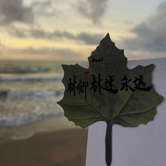 【和你】“你明知我原本只一身未经绸缪的雨”