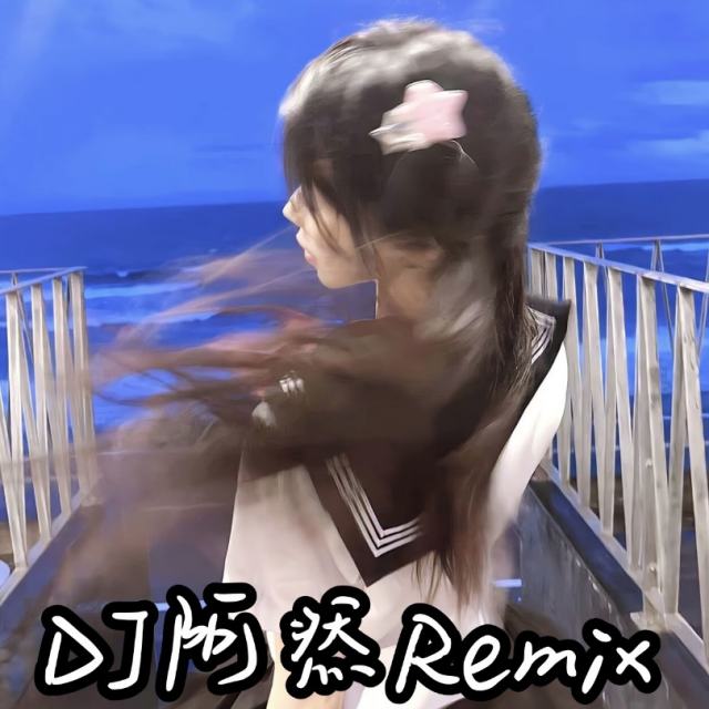 苏毅然🐊.——【精品推荐】起风了 2024 新版〈DJ阿然Remix〉