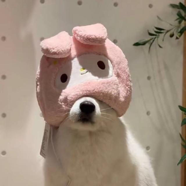 在没有我的世界里他能过得更好