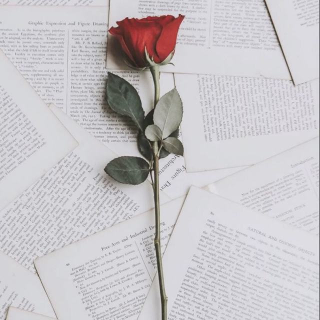 永不失联的爱-单依纯最抒情一段