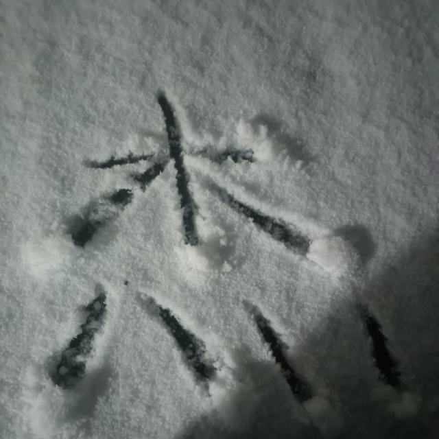 西楼别序(2025版)