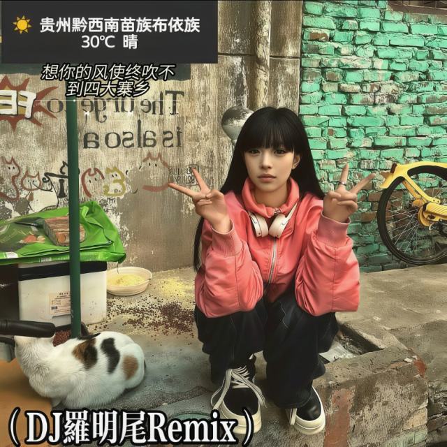 羅明尾❗.——㉿【顶级私人修改喊麦】当年一首另类曲.迷倒千万名少女🎖文艺复兴（DJ罗明尾Remix）