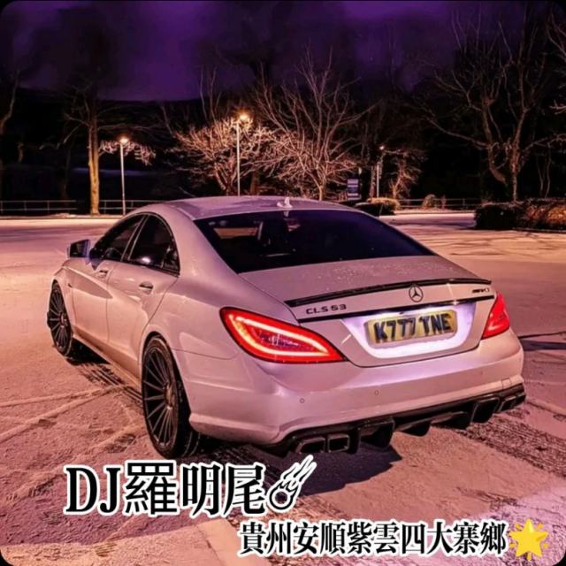 〖羅明尾🎖苏婷🎀〗.——【精选102分熟悉歌曲FK东南亚迷幻】节奏车载串烧（DJ罗明尾Remix）