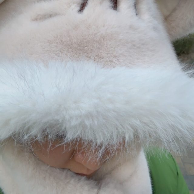 给未来的自己（剪辑版）