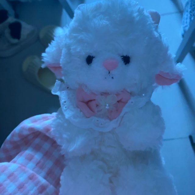 那颗象征永恒爱意的“非洲之心 ”原来我早就拥有过了...