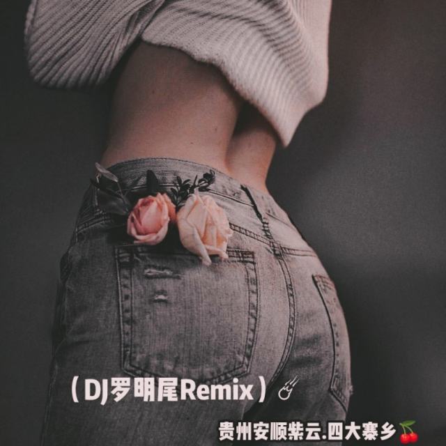 苏婷🎀——.【精品推荐】-以后再遇见你 弹鼓【2024抖音热播】（DJ罗明尾Remix）