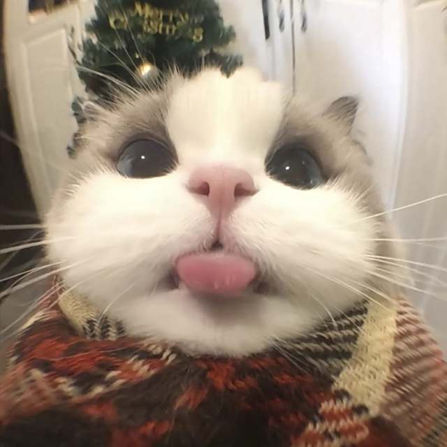 【等我先说DJ】你眼睁睁看着我 不知该如何_