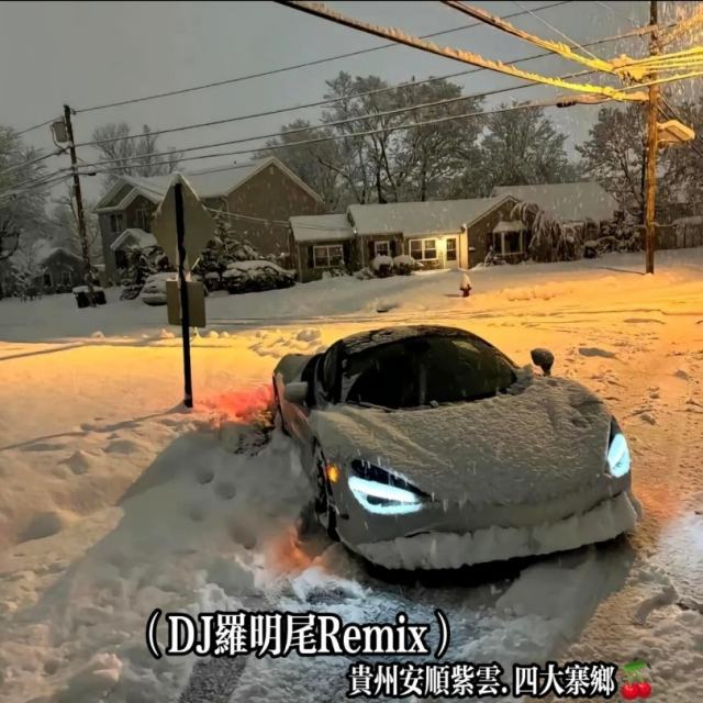 苏婷🎀——.【串烧精品】-冬天不会下雪🌸 热播中文车载dj（DJ罗明尾Remix）