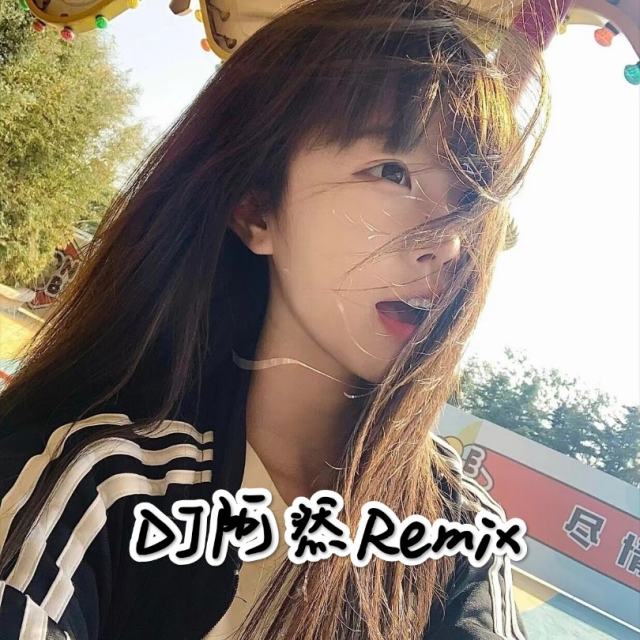 苏毅然🐊.——【抖音热播】龙卷风 抖音DJ新版