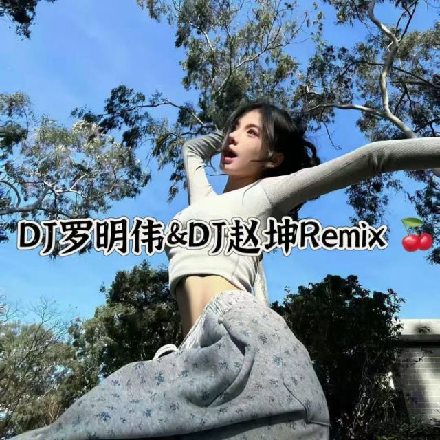 精彩赵坤.❗——【精品串烧】精选二月抖音热播中文车载串烧DJ