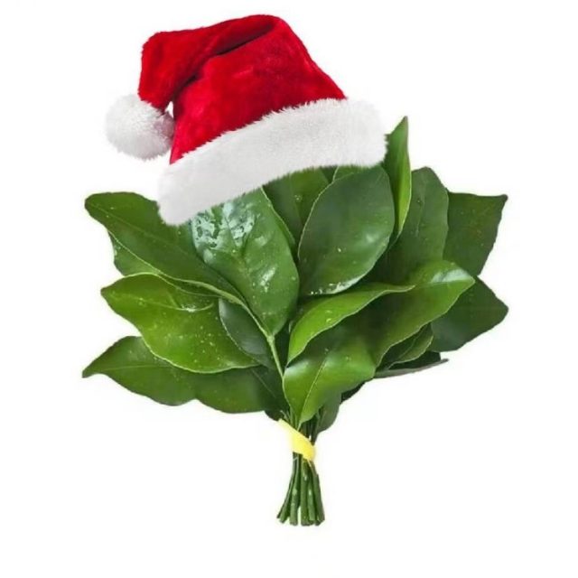 我曾天真的以为认真的喜欢和真诚的对待能打动一个人后来发现我错了