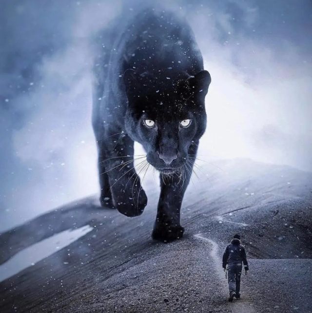 我也曾像个傻子一样爱你