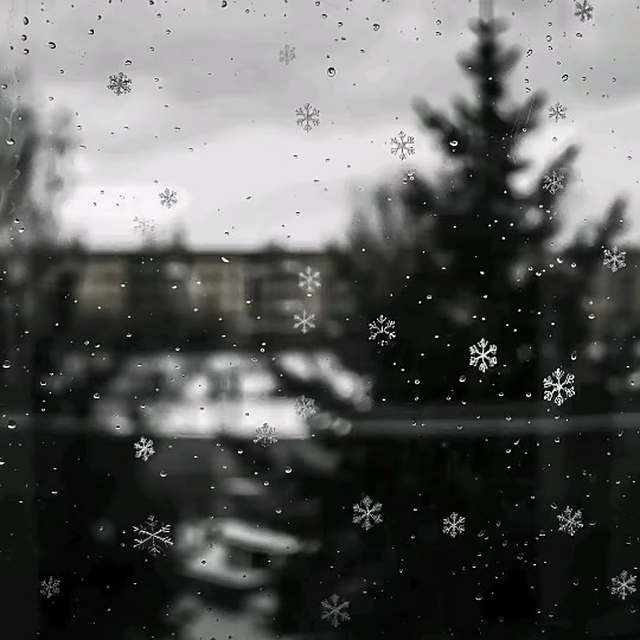 我始终猜不透你 又或许你从未在乎过我