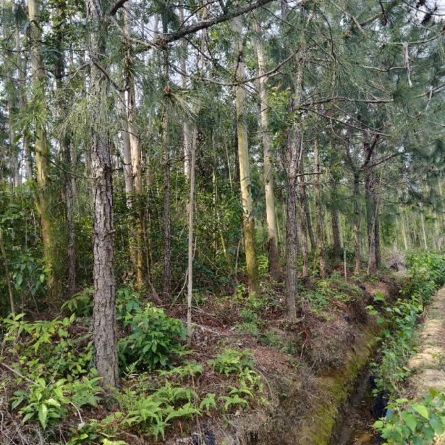 Mr.“Broken Heart”