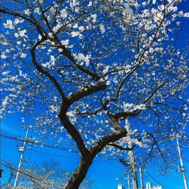 人总要和握不住的东西说再见  有些人有些事  到此为止  便是最好的结局