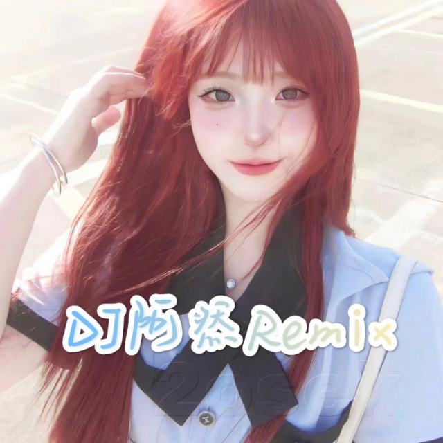 苏毅然🐊.——【精品推荐】晴天 2024 新版〈DJ阿然Remⅰx〉