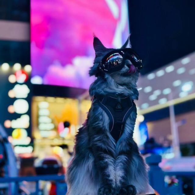 DJ小智制作【小K】《不再犹豫》(DJ小智Remix)