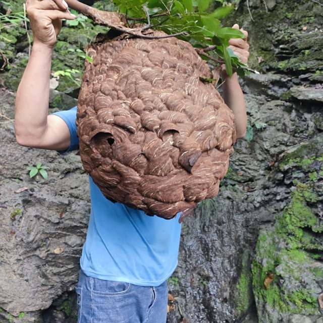 〖羅明尾🎖苏婷🎀〗.——【精品修改】坦白DJ（DJ罗明尾Remix）