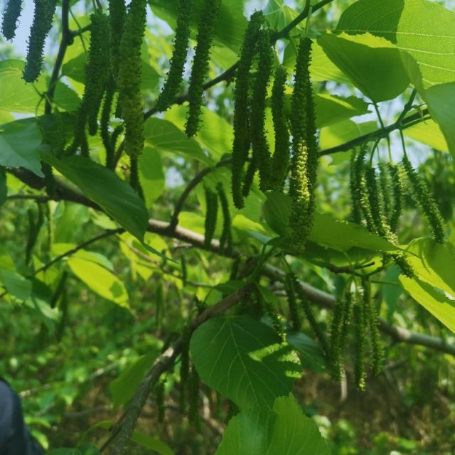 缘分惹的祸 - 网络红歌
