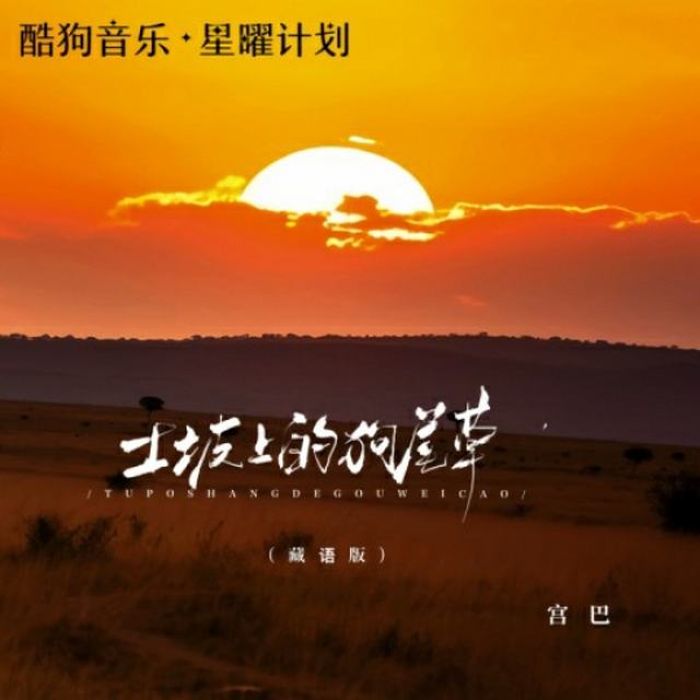 宫巴-土坡上的狗尾草(藏语版)完美无损音质流畅完整版