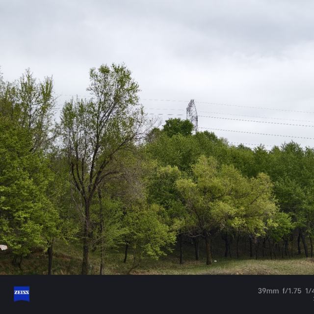 心归处好听铃声