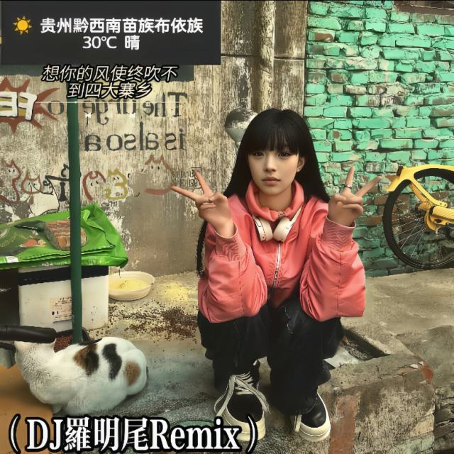 羅明尾❗.——㉿【上头摇 - Run Free】🥈KTV之夜🆚经典女唱（DJ罗明尾Remix）