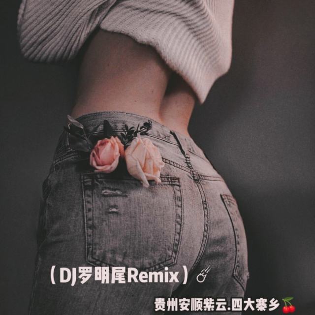 苏婷🎀——.【弹鼓旋律】我是真的爱上'你DJ新版2024热播_（DJ罗明尾Remix）