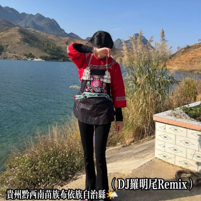 苏婷🎀——.【中文弹鼓】有些爱情放不下 2025新版 抖音DJ版（DJ罗明尾Remix）