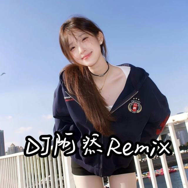 苏毅然🐊.——【精品串烧】断了乱了 不配说爱我 DJ串烧 2025〈DJ阿然 Prog House Remix〉