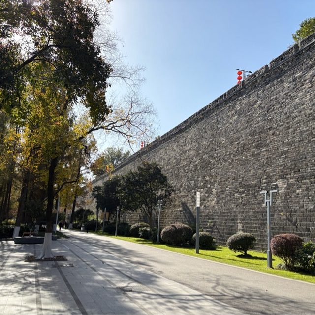 宽容（抖音最火版）