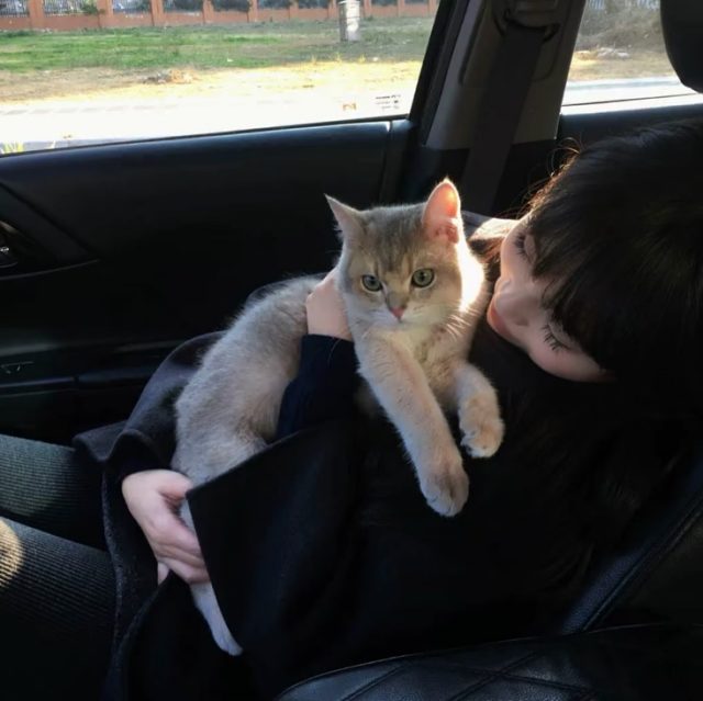 你睡了吗 我看聊天记录又翻到你说爱我了