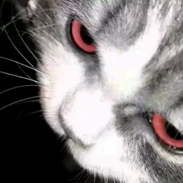 𝟐𝟒𝙠纯帅 一【𝑫𝑱】站在属于自己的高度，看自己该看的风景