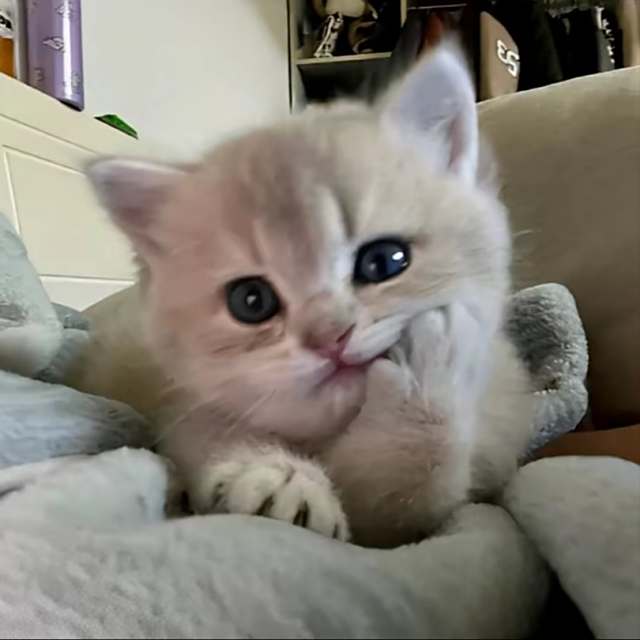 DJ小智（小K）制作《 慢慢》（DJ小智Remix）