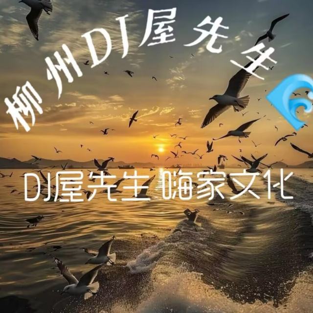 屋先生🌊【抖音热播V7】唯一 DJ  2024