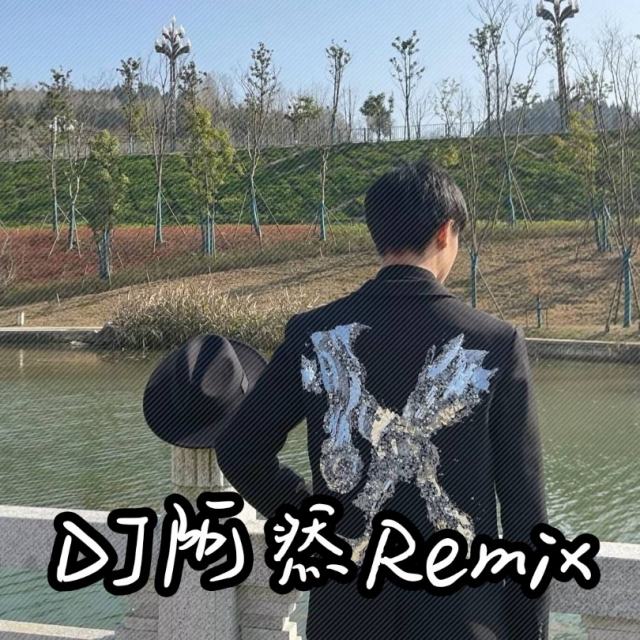 苏毅然🐊.——【精品推荐】说太多不如沉默 2025〈DJ阿然 Prog House Remix〉