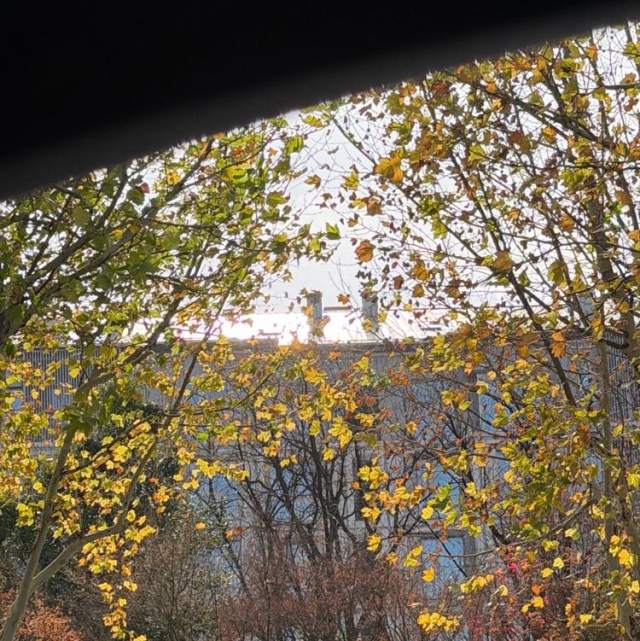 华为来电铃声 Classic_Bell