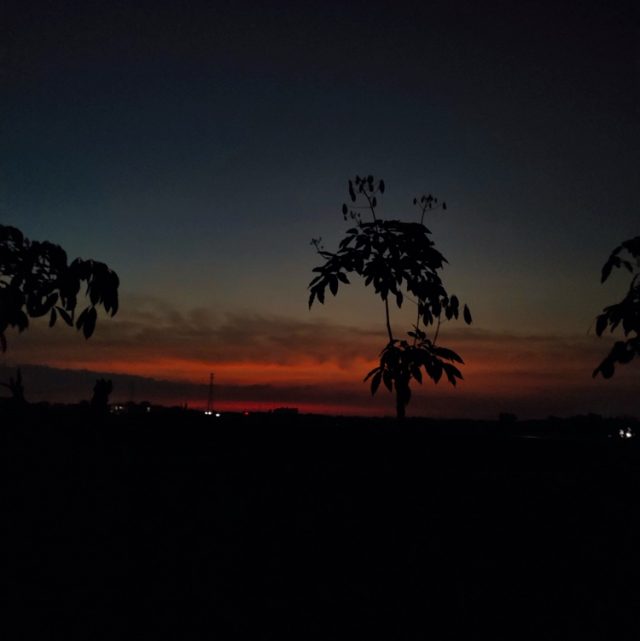 一起吹过晚风的街《聂思诗》