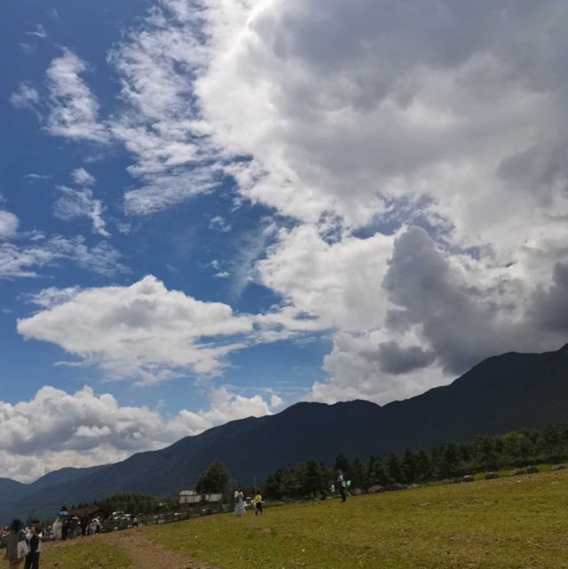 相思风雨中粤语抖音版