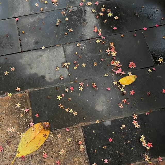 A-丽g❗一【鬼新娘】『DJ弹鼓』英叔 林正英做梦也没想到 曾经的吓人音乐 现在这么嗨