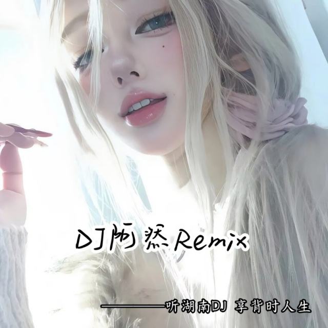 苏毅然🐊.——【精品推荐】高速必备旋律 新版 2025〈DJ阿然 Prog House Remix〉