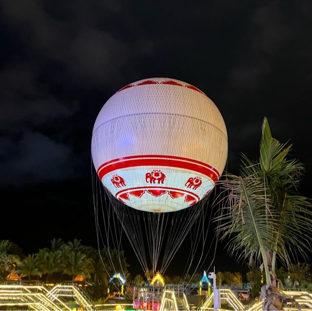 你看你看月亮的脸