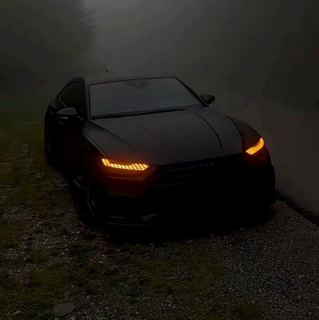 你画的彩虹～姜洋