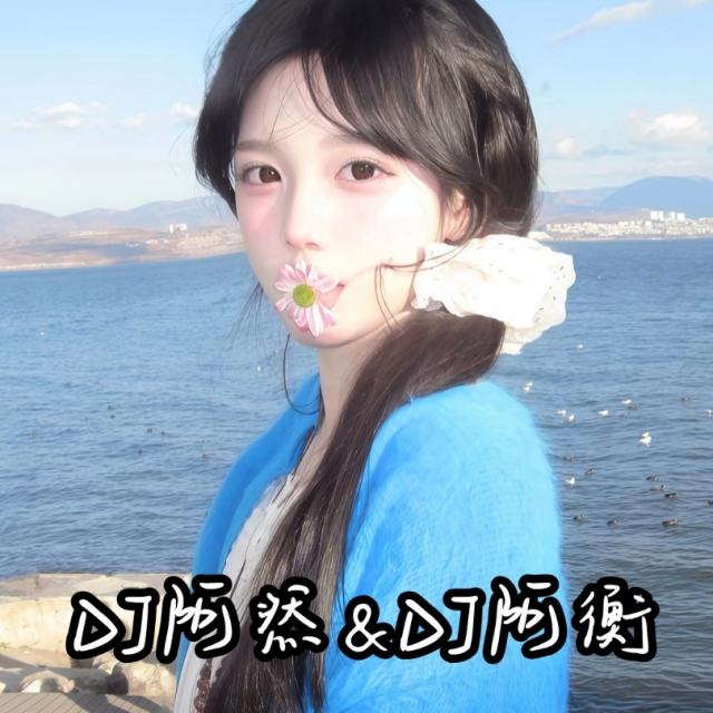 苏毅然🐊.——【精品推荐】小年快乐 DJ小串 2025 抖音版〈DJ阿然 Prog House Remix〉