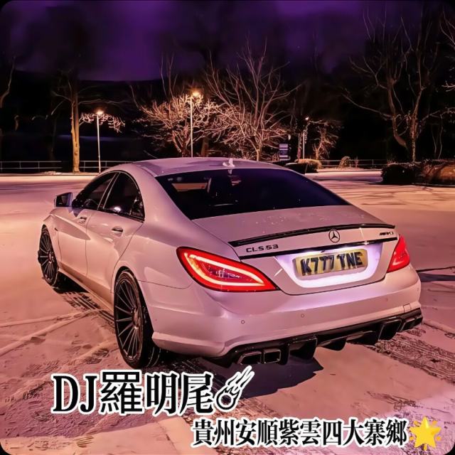 〖羅明尾🎖苏婷🎀〗.——【DJ旋律】浪迹天涯（DJ罗明尾Remix）